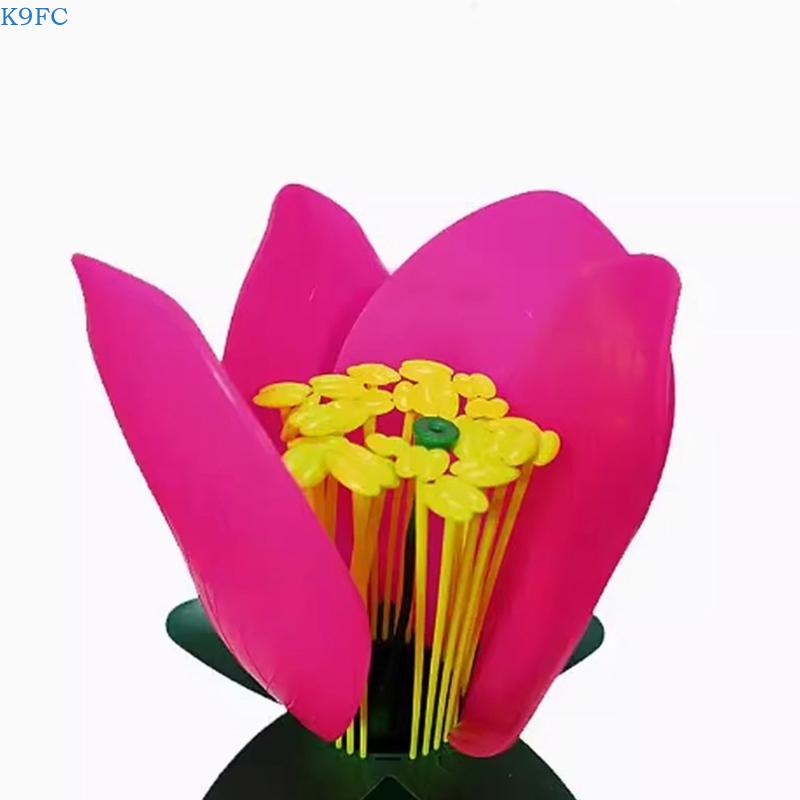 K9FC Realistic Plant Teaching  - Science Exhibition Models recension och pris