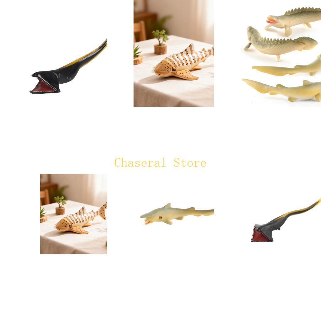E7CE Realistic Fish Model for  - Science Exhibition Models recension och pris
