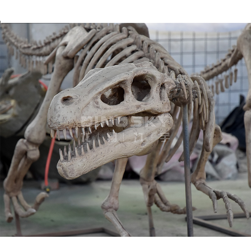 ATV&UTVResin Raptor Skeleton F - Science Exhibition Models recension och pris