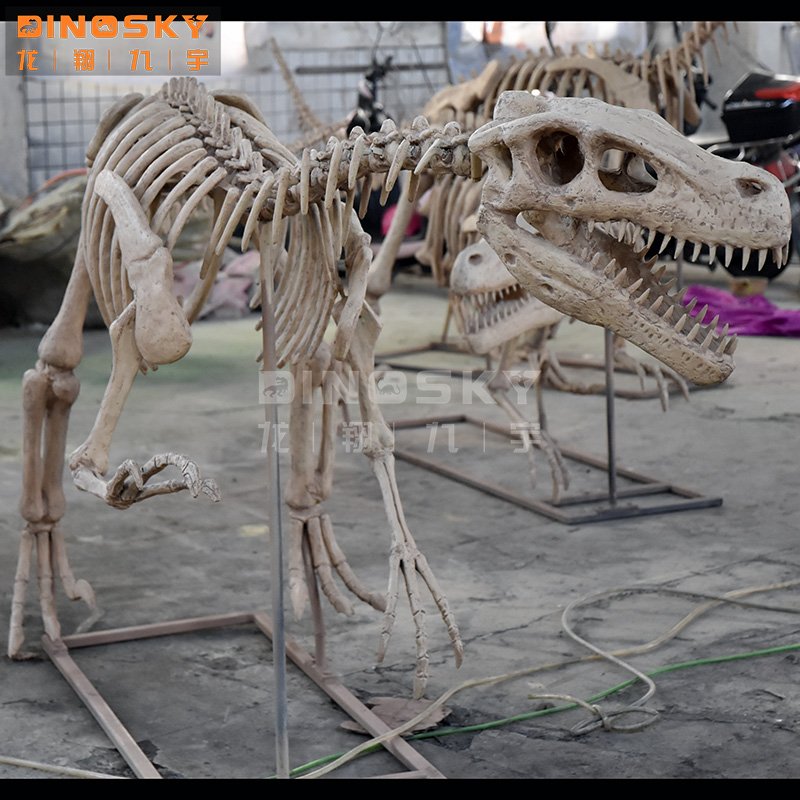 ATV&UTVResin Raptor Skeleton F - Science Exhibition Models recension och pris