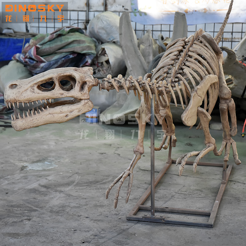 ATV&UTVResin Raptor Skeleton F - Science Exhibition Models recension och pris