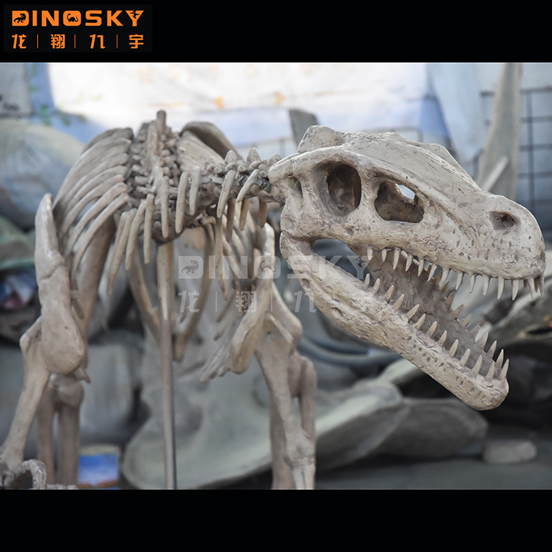ATV&UTVResin Raptor Skeleton F - Science Exhibition Models recension och pris